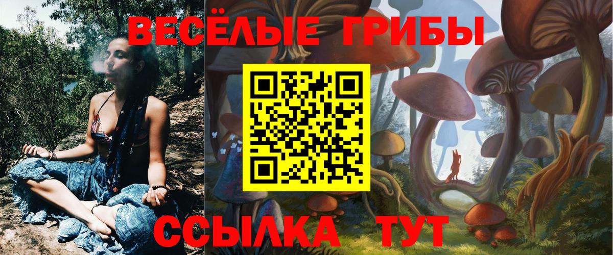 Бийск  Галлюциногенные грибы мицелий  купить  цена  Вход с VPN 